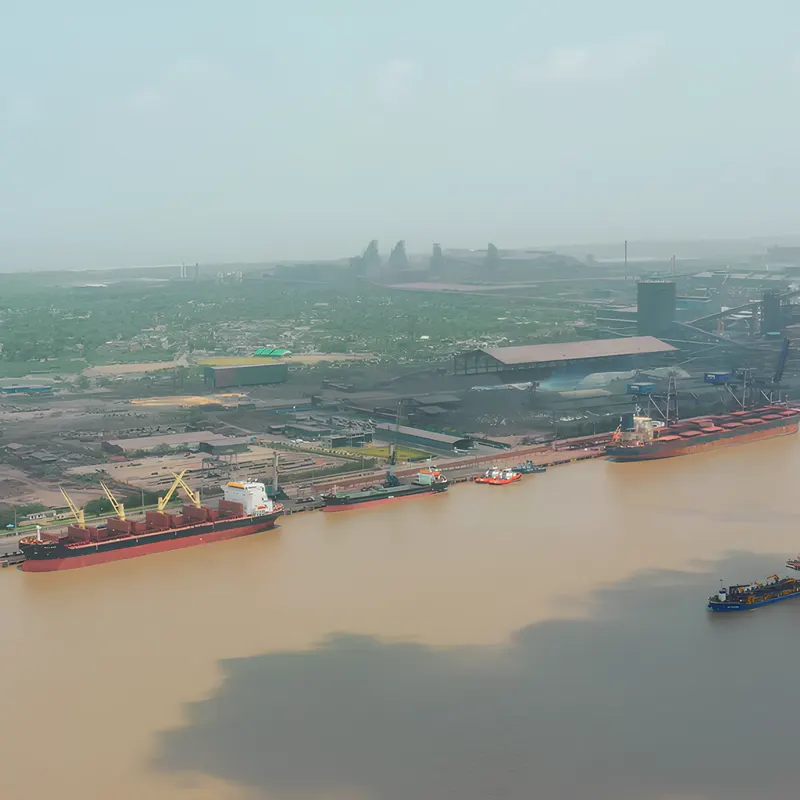 Bulk carriers berthed along a Gujarat quay